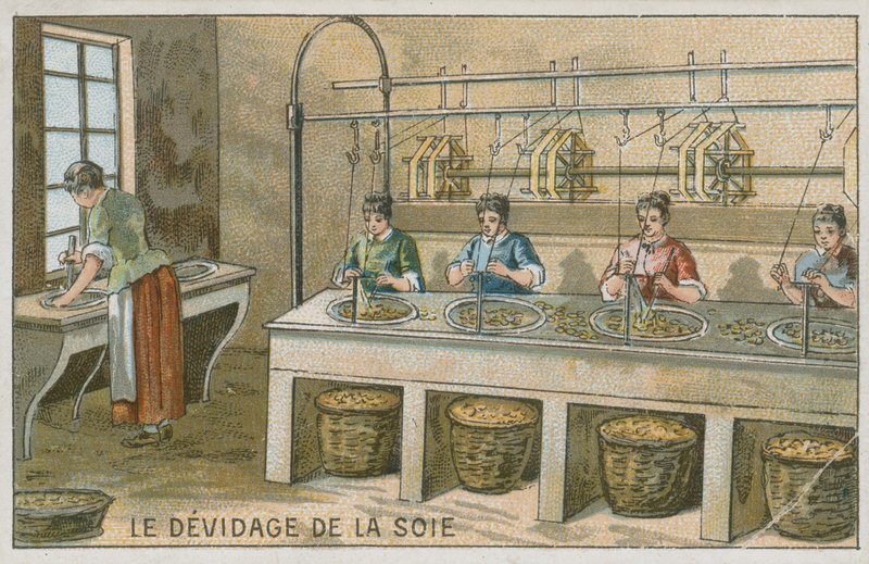 Enroulement des filaments de soie sur des bobines - European School