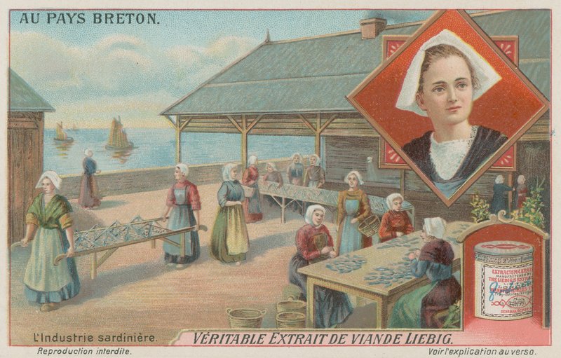 Femmes préparant des sardines - European School