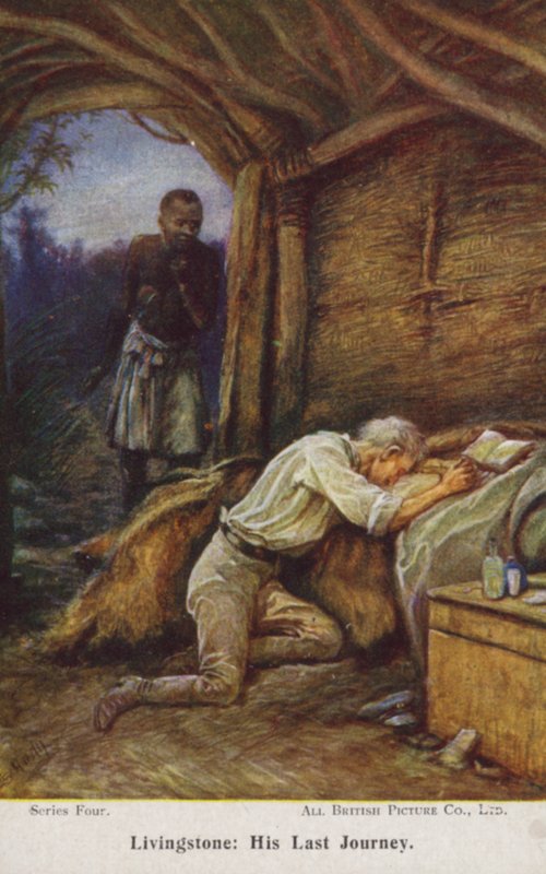 David Livingstone - Evelyn Stuart Hardy