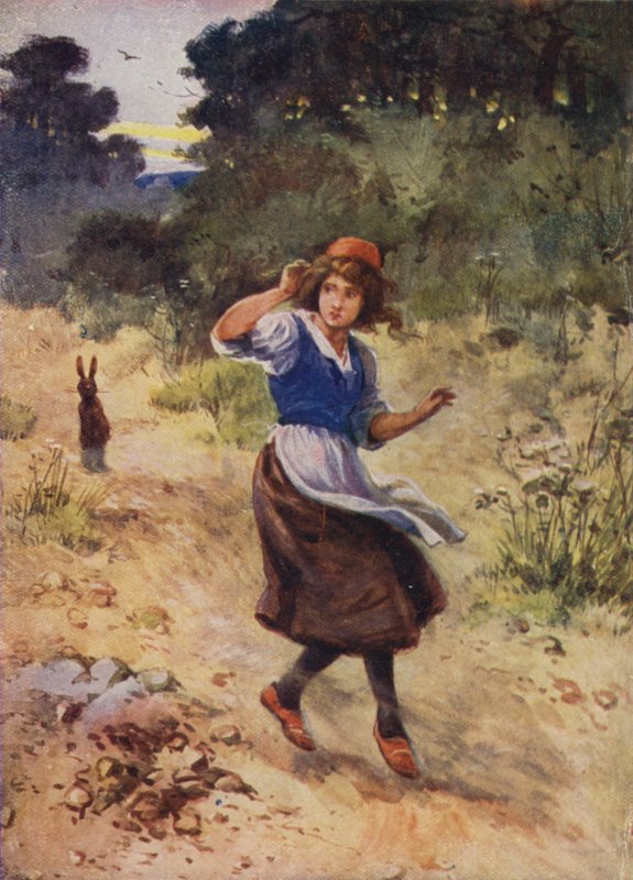 Histoire non identifiée de Hans Christian Andersen - Evelyn Stuart Hardy