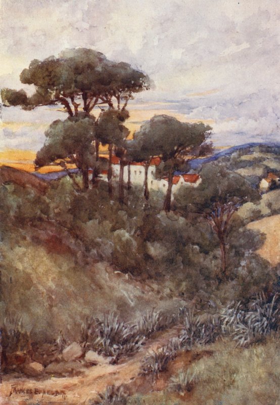 Pins Parasols, Alger - Frances Nesbitt