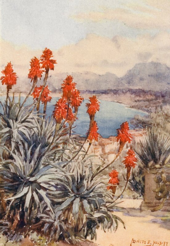Les aloès rouges - Frances Nesbitt