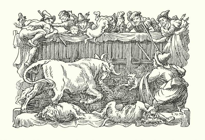 Merrie England : Appât à taureau (litho) - Francis Donkin Bedford