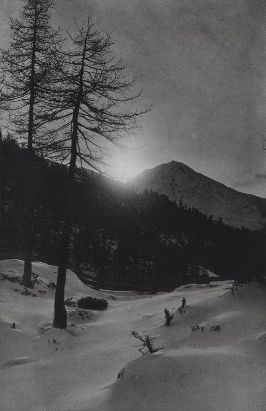 Les Alpes : Près d