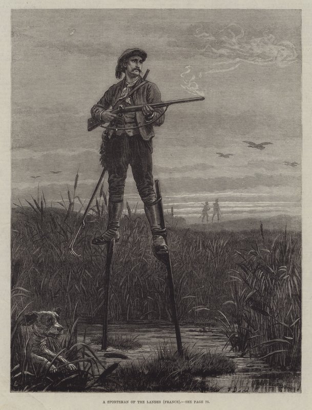 Un Chasseur des Landes (France) - Frank Dadd