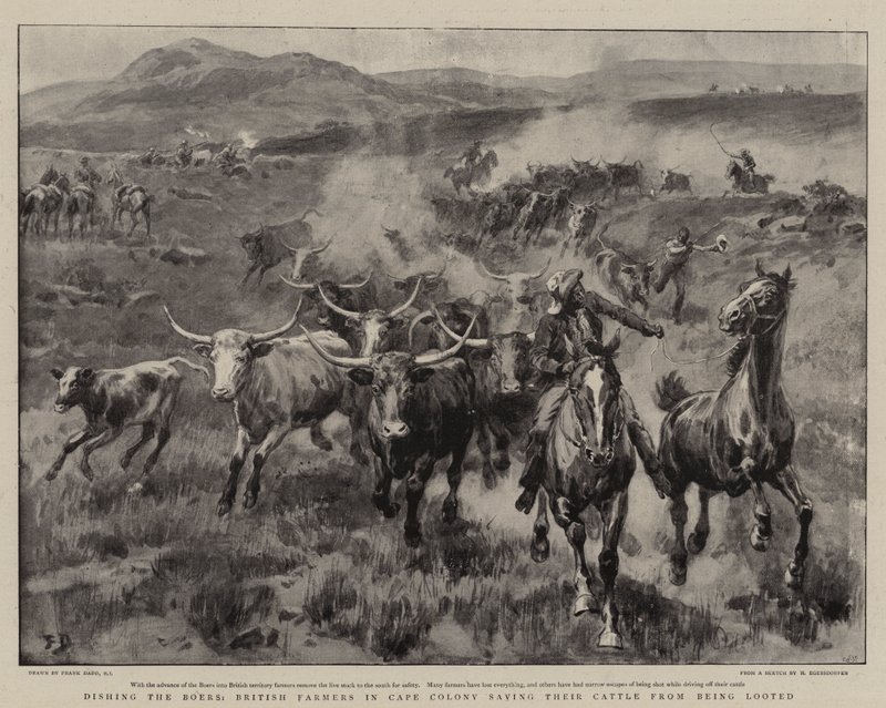 Les fermiers britanniques au Cap sauvant leur bétail du pillage - Frank Dadd