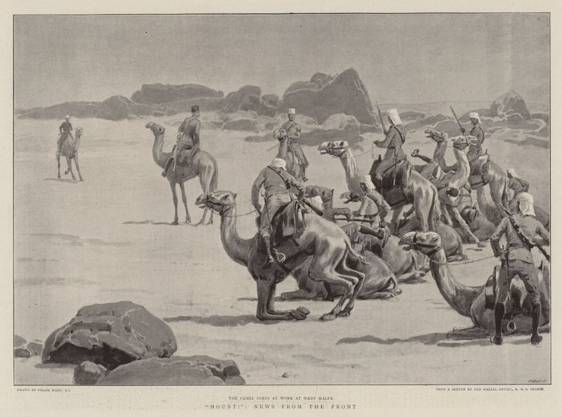 En selle !, Nouvelles du front - Frank Dadd