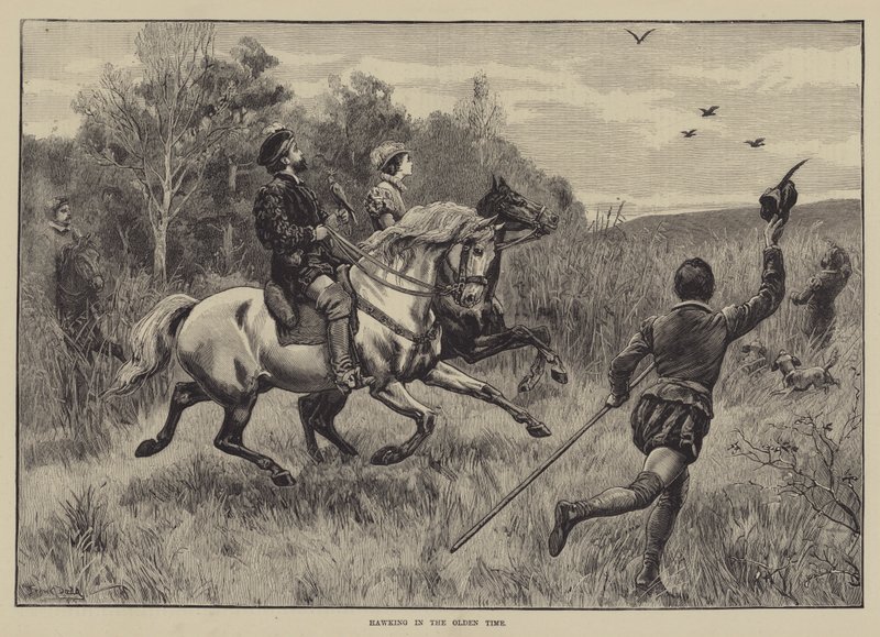 La chasse au faucon autrefois - Frank Dadd