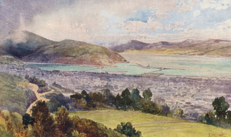 Nouvelle-Zélande : Dunedin - Frank H Wright