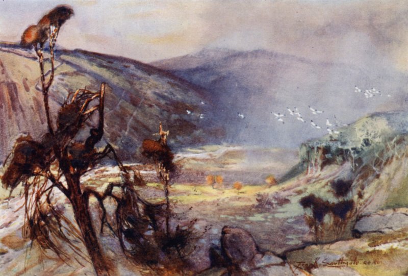 Tempête dans les Cheviots - Frank Southgate