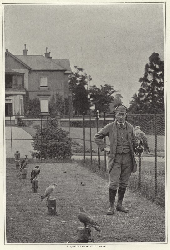 Un fauconnier avec son faucon - French Photographer