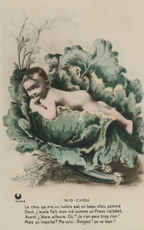 Bébé dans un chou - French Photographer