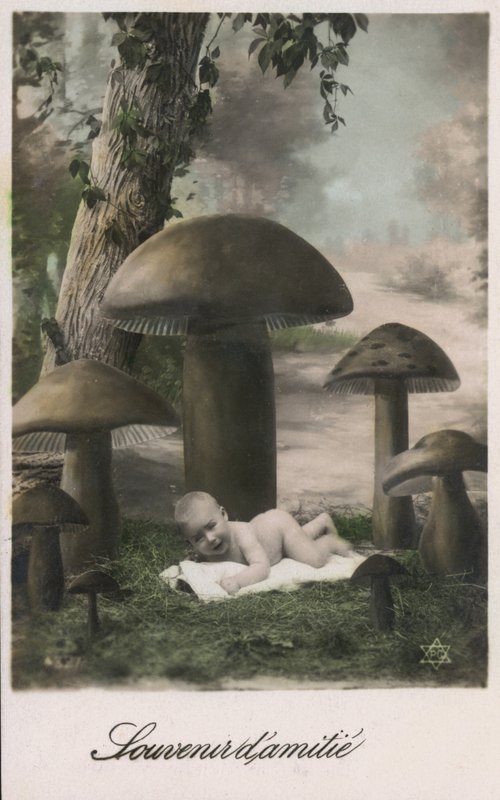 Bébé dans un champ de champignons - French Photographer
