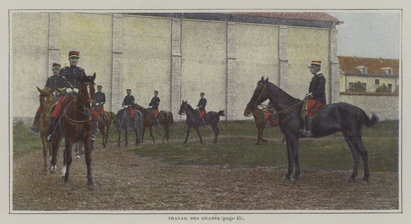 Cavaliers en entraînement - French Photographer