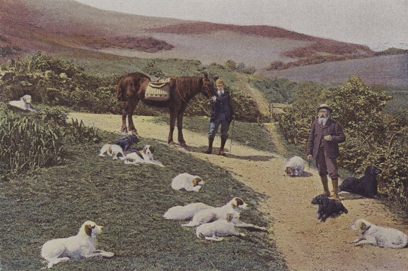 Chasse au tétras en Écosse - French Photographer