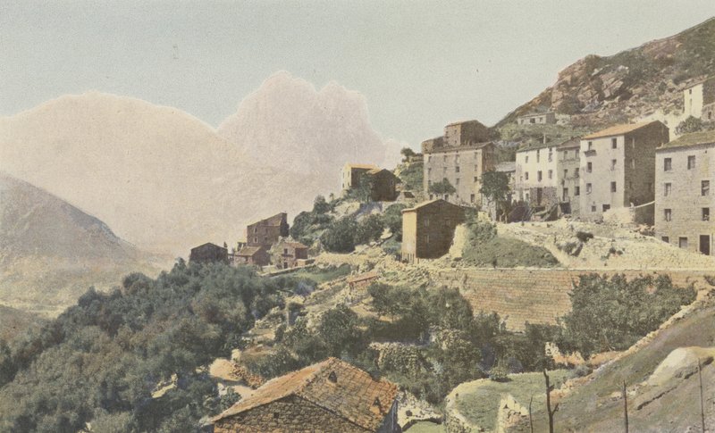 Ota et le Capo d
