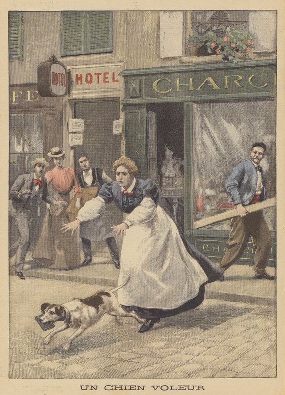 Un voleur canin - French School