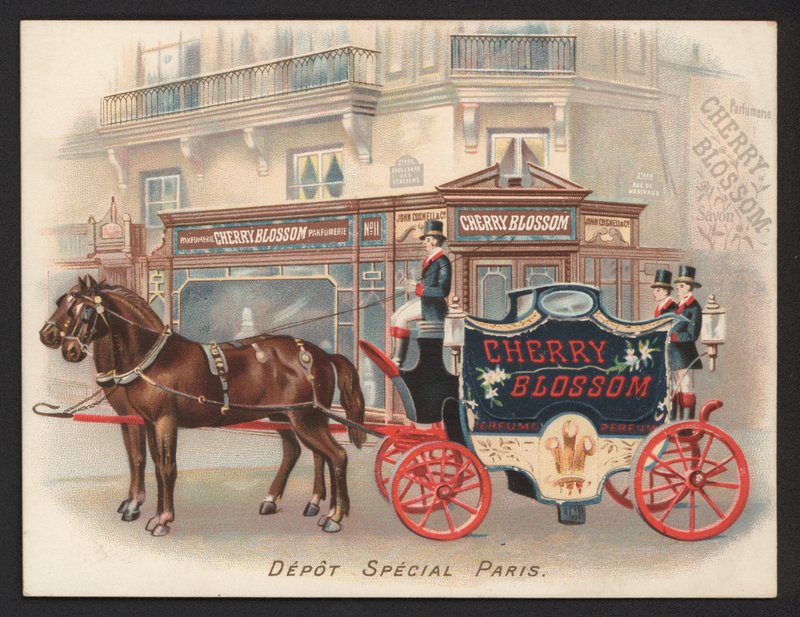 Publicité pour le parfum Cherry Blossom - French School