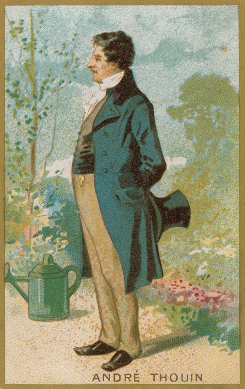 Andre Thouin - French School
