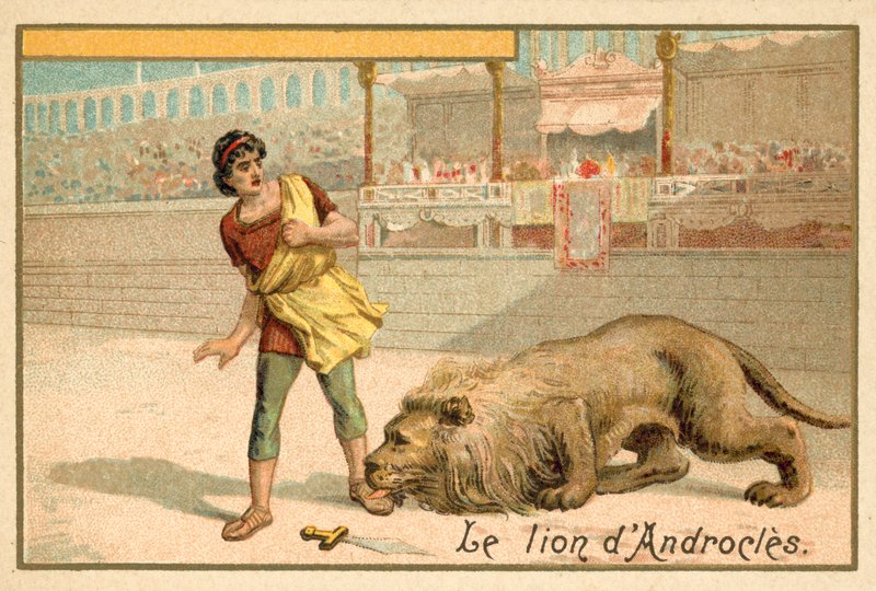 Androclès et le Lion - French School
