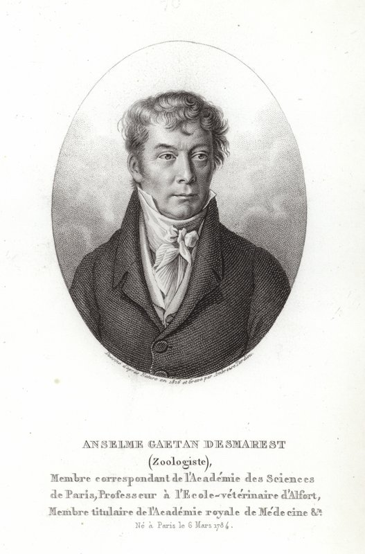 Anselme Gaëtan Desmarest - French School