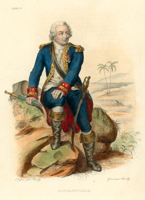 Bougainville (gravure en couleur) - French School