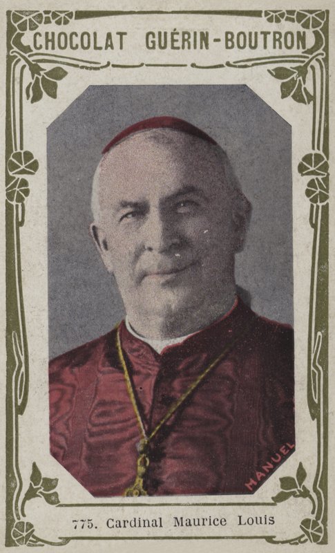 Cardinal Maurice Louis - French School