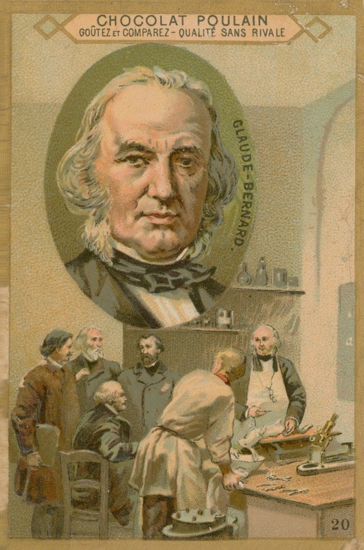 Claude Bernard, carte de commerce Chocolat Poulain - French School
