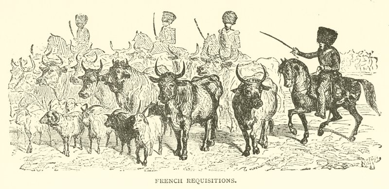 Réquisitions françaises (gravure) - French School
