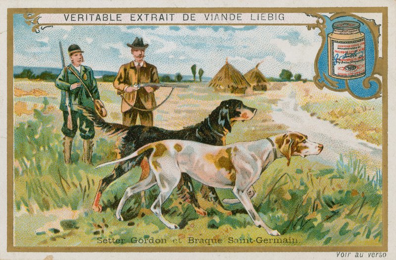 Setter Gordon et Braque Saint-Germain - French School