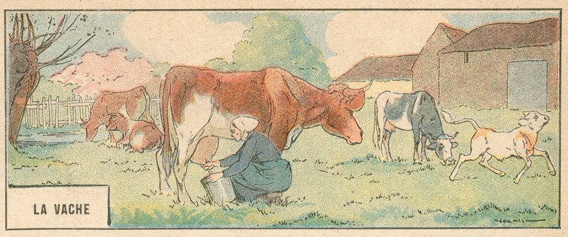 La Vache - French School