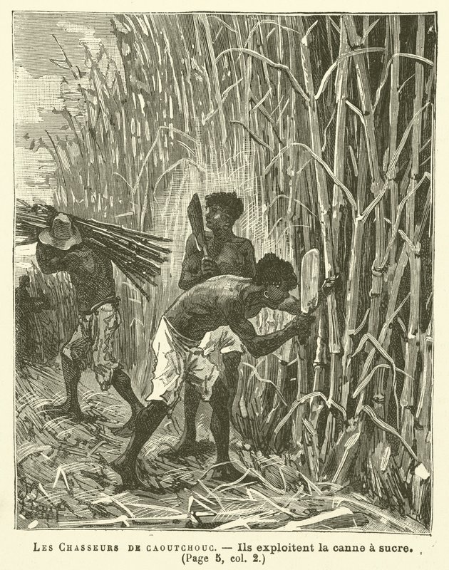 Les chasseurs de caoutchouc - French School