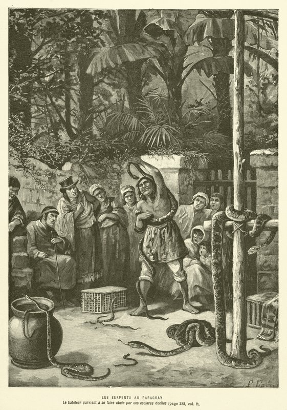 Les Serpents Au Paraguay - French School
