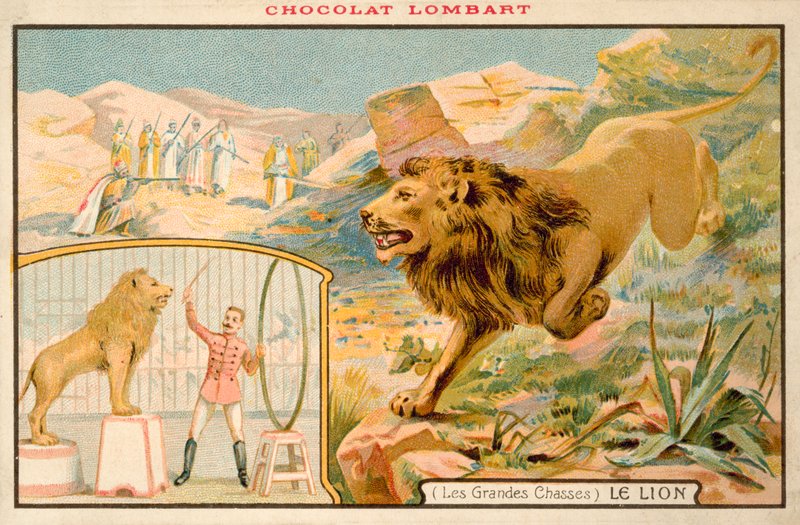 Lion - French School