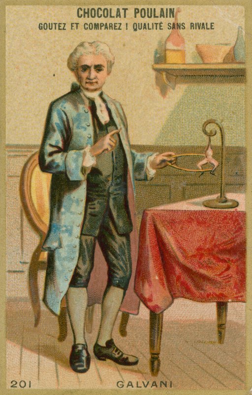 Luigi Galvani - French School