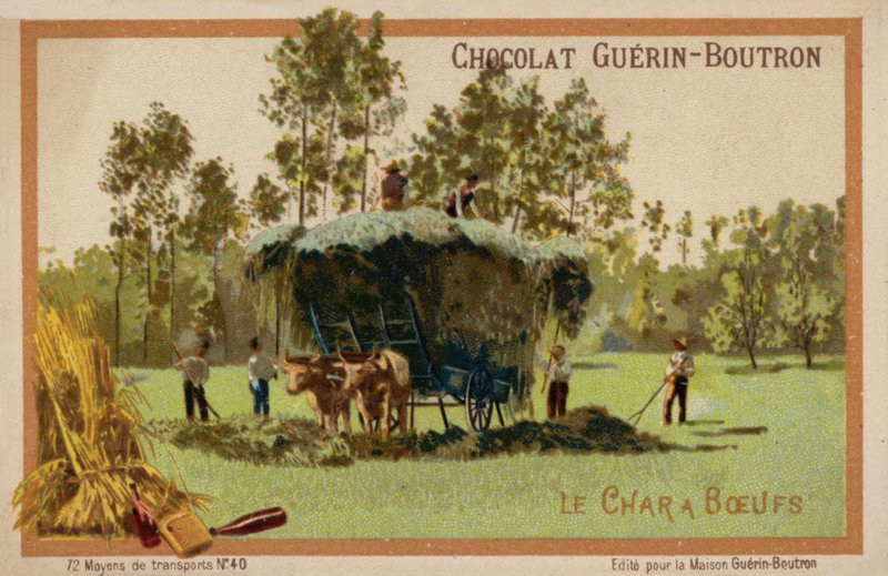 Chariot à bœufs - French School