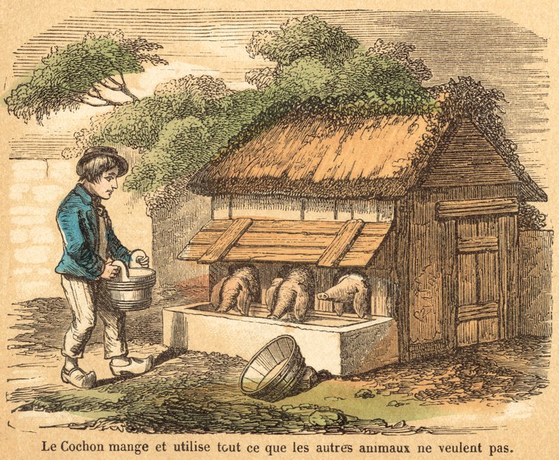 Cochon - French School