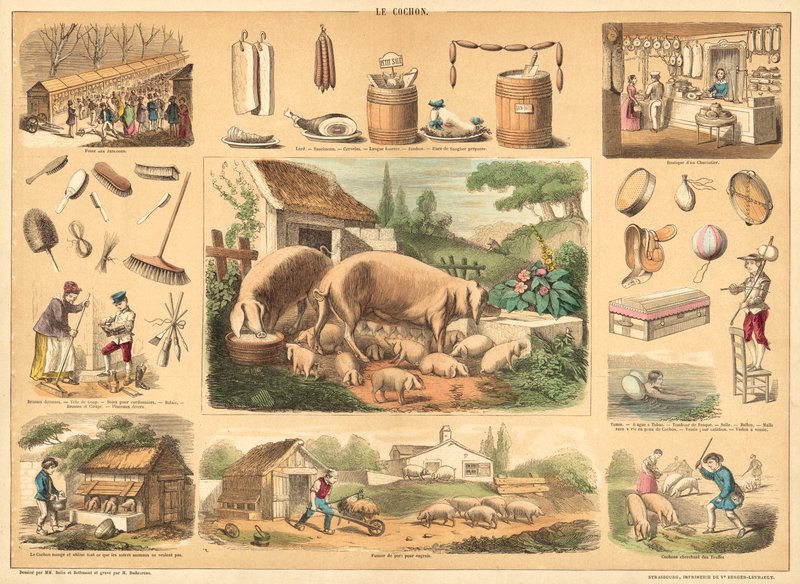 Cochon - French School