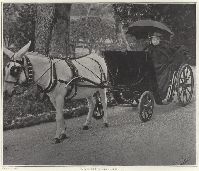 Reine Victoria à Cimiez - French School