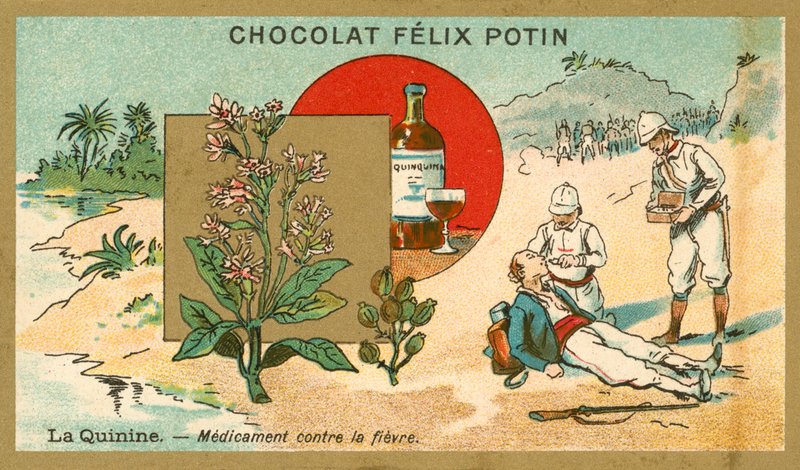 Quinine, médicament contre la fièvre - French School