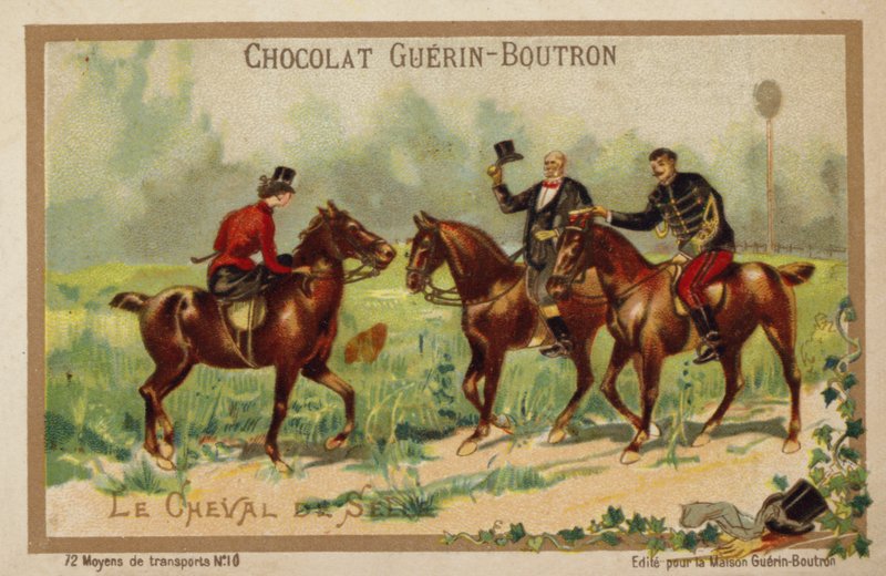 Équitation - French School