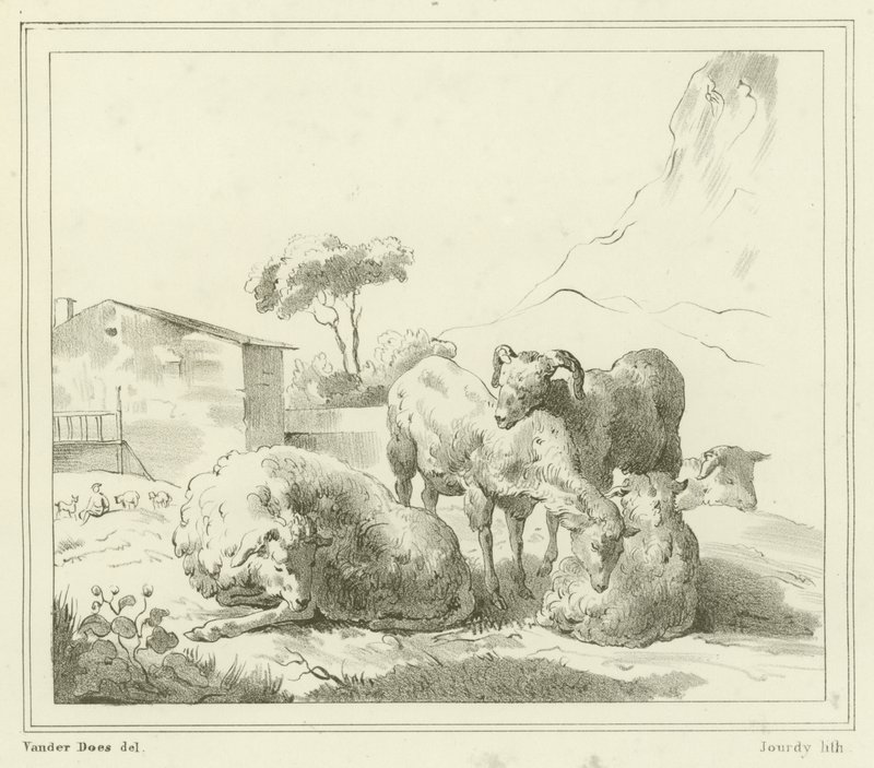 Moutons dans un paysage - French School