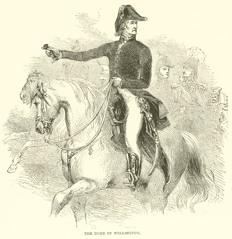 Le Duc de Wellington - French School