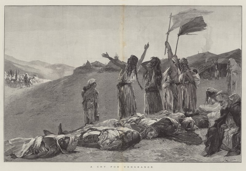 Un Cri de Vengeance - Gabriel Nicolet