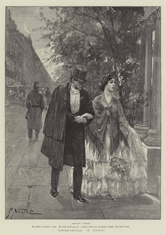 Églantier en ville - Gabriel Nicolet