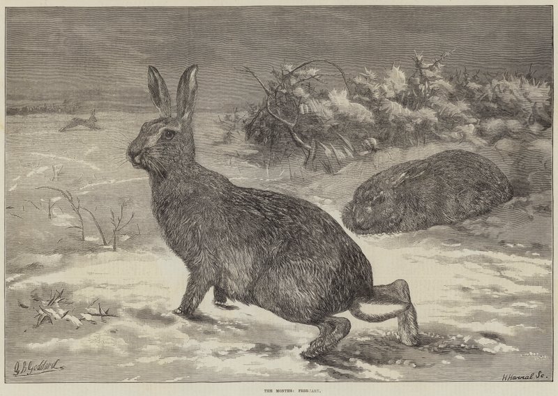 Les mois, février - George Bouverie Goddard