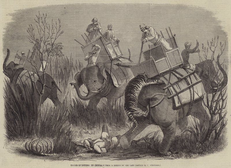 Chasse au Tigre en Inde - George Francklin Atkinson