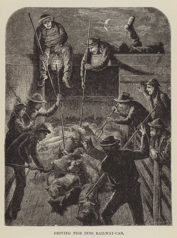 Conduire les porcs dans le wagon - George Augustus Sala