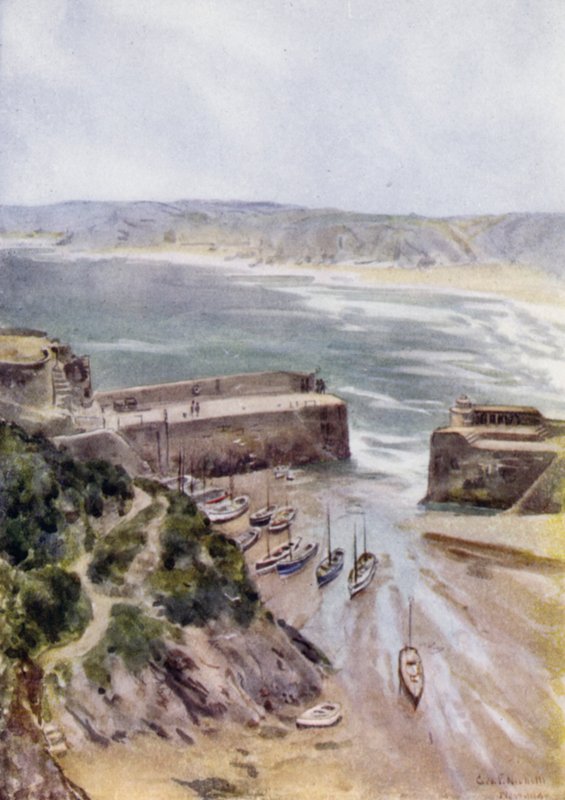 Newquay - George Franck Nicholls
