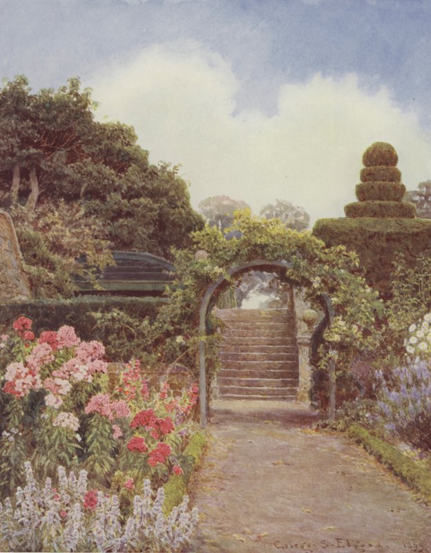 Crathes, Phlox - George Samuel Elgood